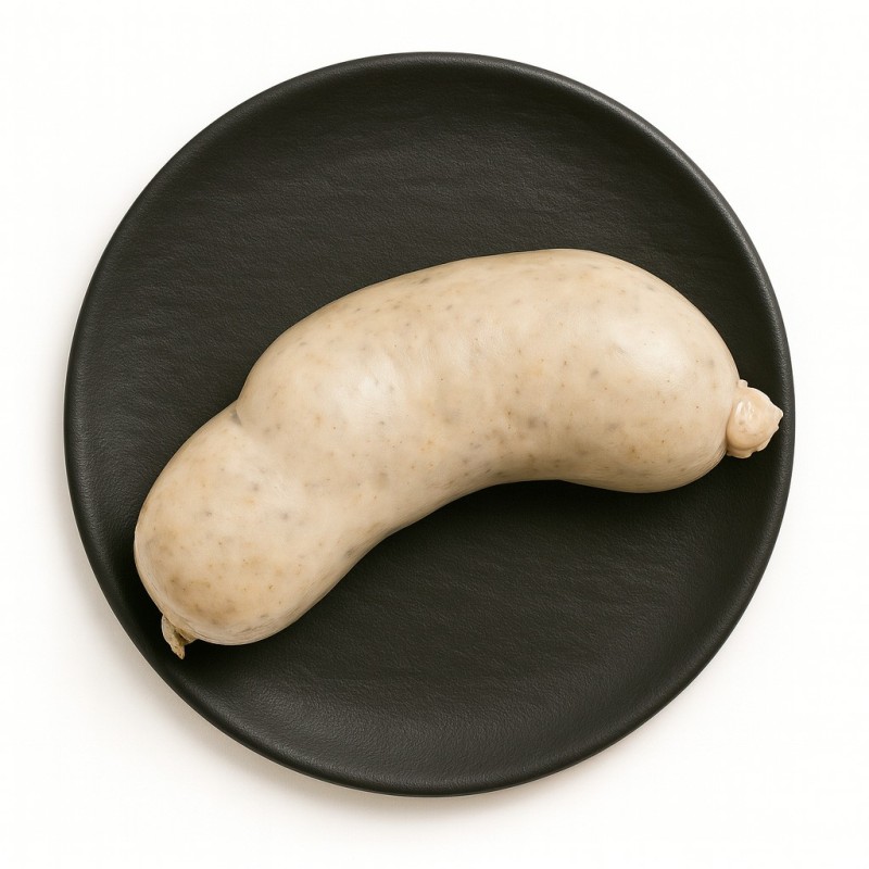 Bull blanc